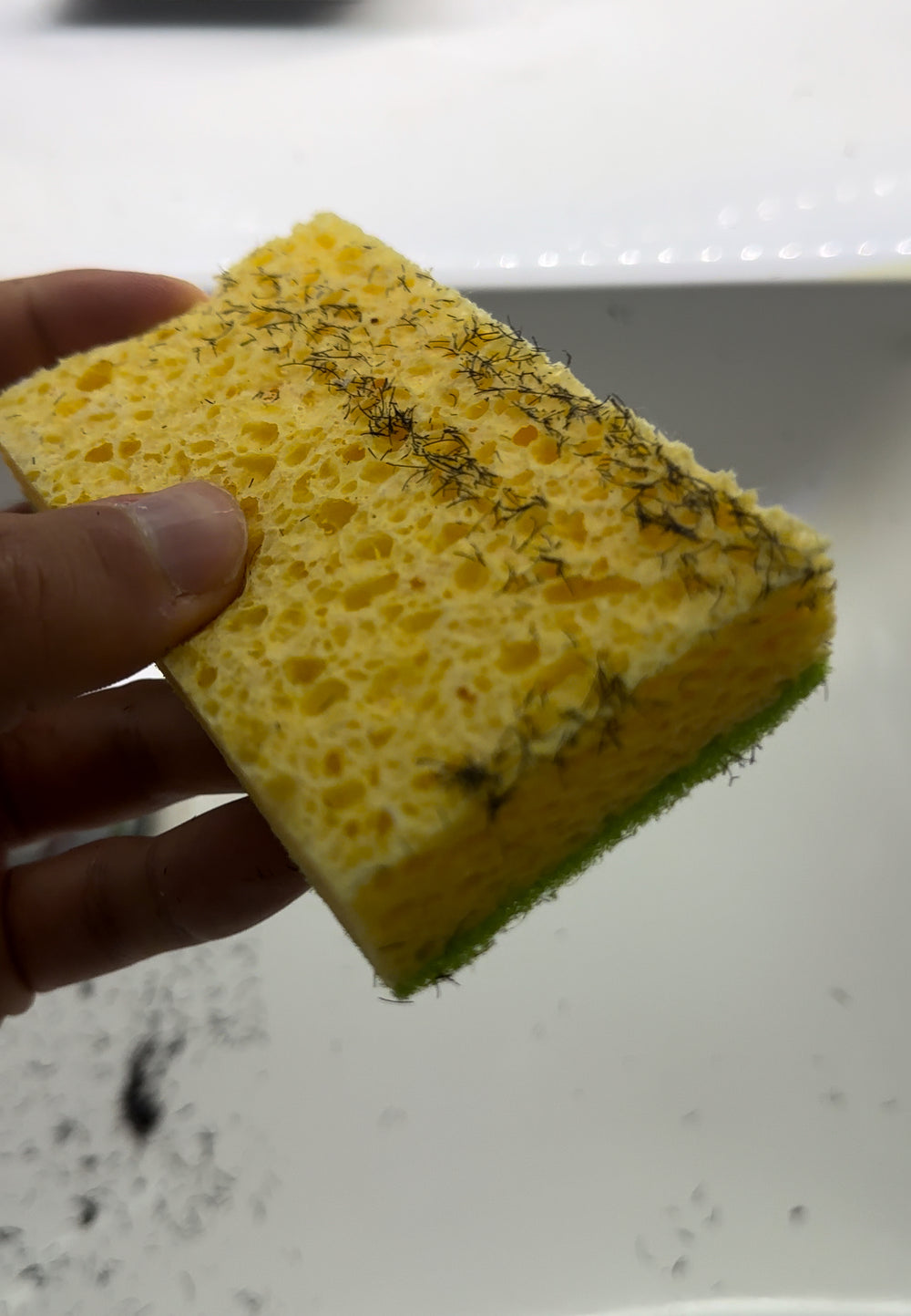 <h2> THE BENEFITS OF BEARD SPONGE:</h2>
