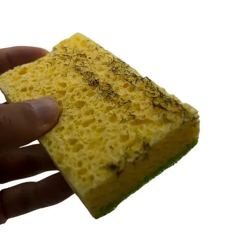<h2> THE BENEFITS OF BEARD SPONGE:</h2>